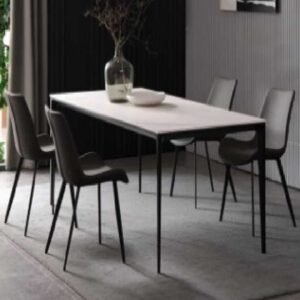 YJ-32 Dining Table and Chair